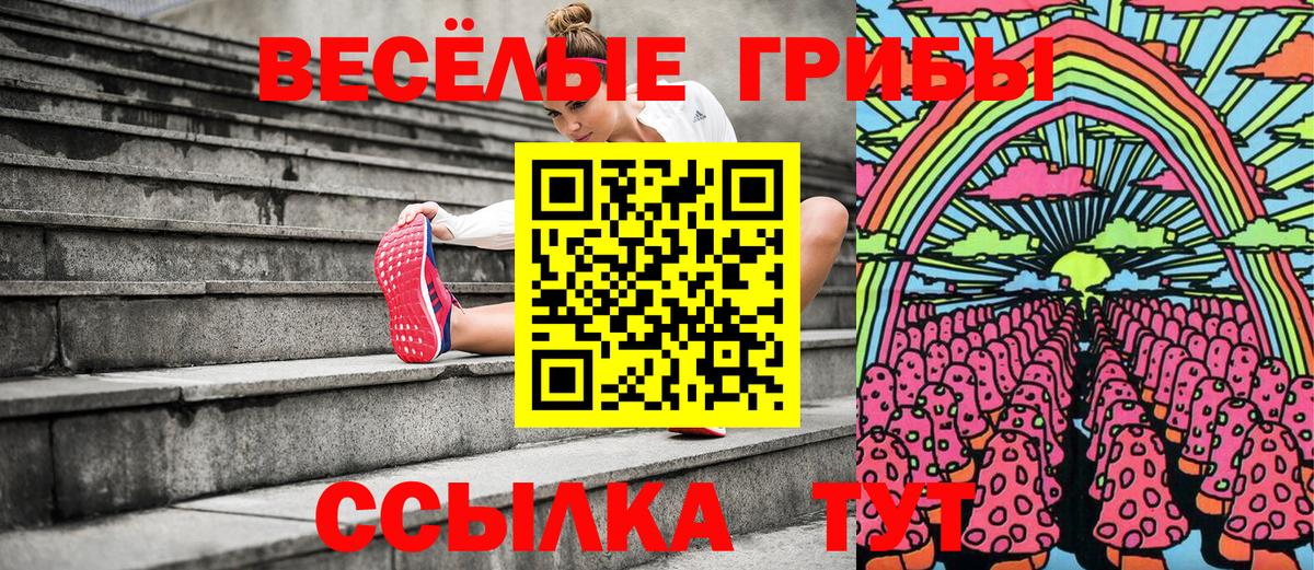 Чусовой  Галлюциногенные грибы ЛСД  Вход с VPN  Псилоцибиновые грибы Psilocybine cubensis 